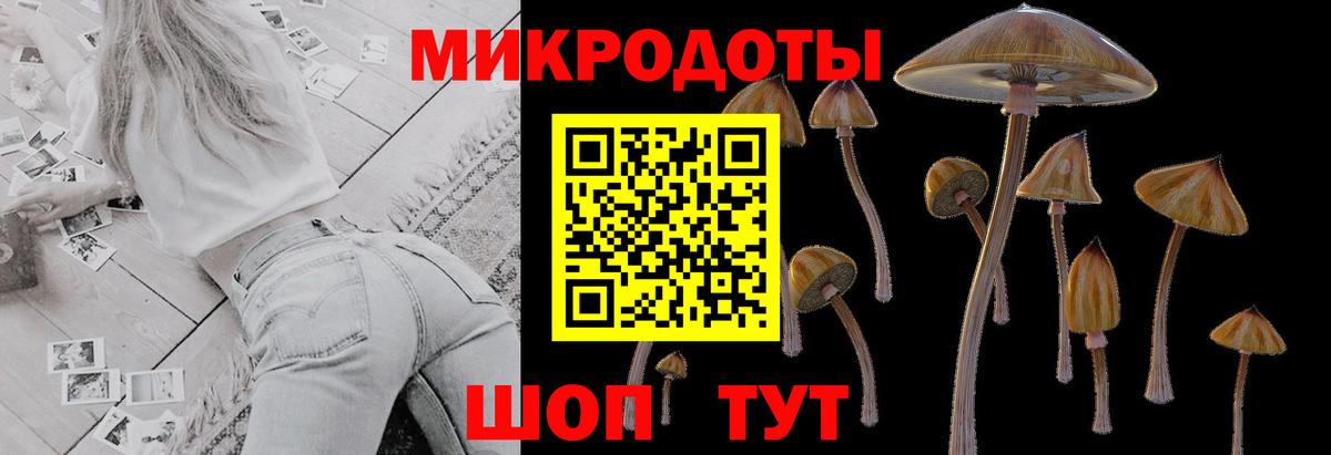 Псилоцибиновые грибы GOLDEN TEACHER  Вход с VPN  как найти наркотики  Рассказово 